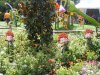 DSCF0861.JPG