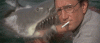 jaws.gif