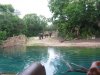 IMG_3242.JPG
