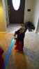 20170326_105846.jpg