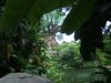 DSCF1382.JPG