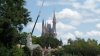 SAM_0256.JPG