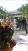 SAM_0765.JPG SAM_0765.JPG