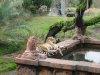 disney vacation 009.jpg
