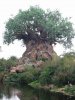 disney vacation 008.jpg