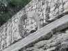 Coba2.JPG