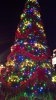 epcot america tree.jpg epcot america tree.jpg