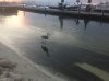 fisherman.JPG