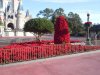 MK-pointsettias everywhere.jpg