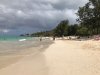 IMG_6361.JPG