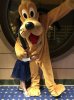 IMG_0893.JPG