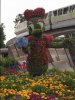 IMG_0761.JPG