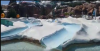 upload_2017-4-12_20-55-50.png upload_2017-4-12_20-55-50.png