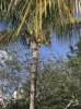 IMG_0911.JPG