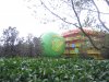 IMG_7163.JPG