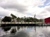 IMG_8336.jpg