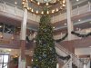 DSCF0433.JPG