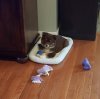 20170411_195858.jpg