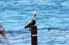 IMG_3156.JPG