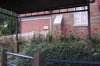 DSC_1240.jpg