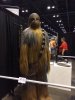 Chewie.jpg