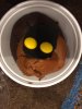 Jawa cupcake.jpg