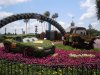 Epcot Cars topiary.jpg