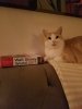 Resized_20170426_211442.jpeg
