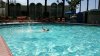 20170411_112728.jpeg