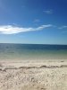 IMG_5111.JPG IMG_5111.JPG