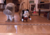 ezgif.com-resize.gif