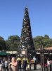 IMG_8743.JPG