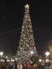 IMG_8844.JPG