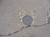 DSCF7316.JPG
