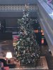 IMG_8930.JPG