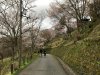 IMG_7534.JPG