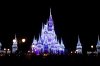 IMG_5484web.jpg