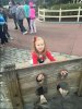 IMG_6777.JPG