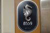 dream 2014 8559 room number sea horse 14219 P1020436 1500.jpg