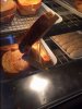 IMG_1183.JPG IMG_1183.JPG