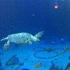 IMG_9795.JPG