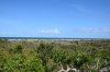DSC_0075.jpg