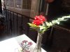 DSCF4558.JPG