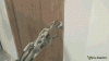 duhzty7.jpg.gif