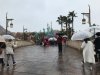 IMG_7752.JPG