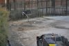 Ostrich after laying Egg (2).JPG