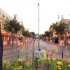 IMG_6042.JPG