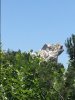 IMG_0935.JPG