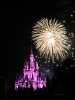 IMG_3313.JPG IMG_3313.JPG