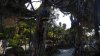 20170514_180416-min.jpg
